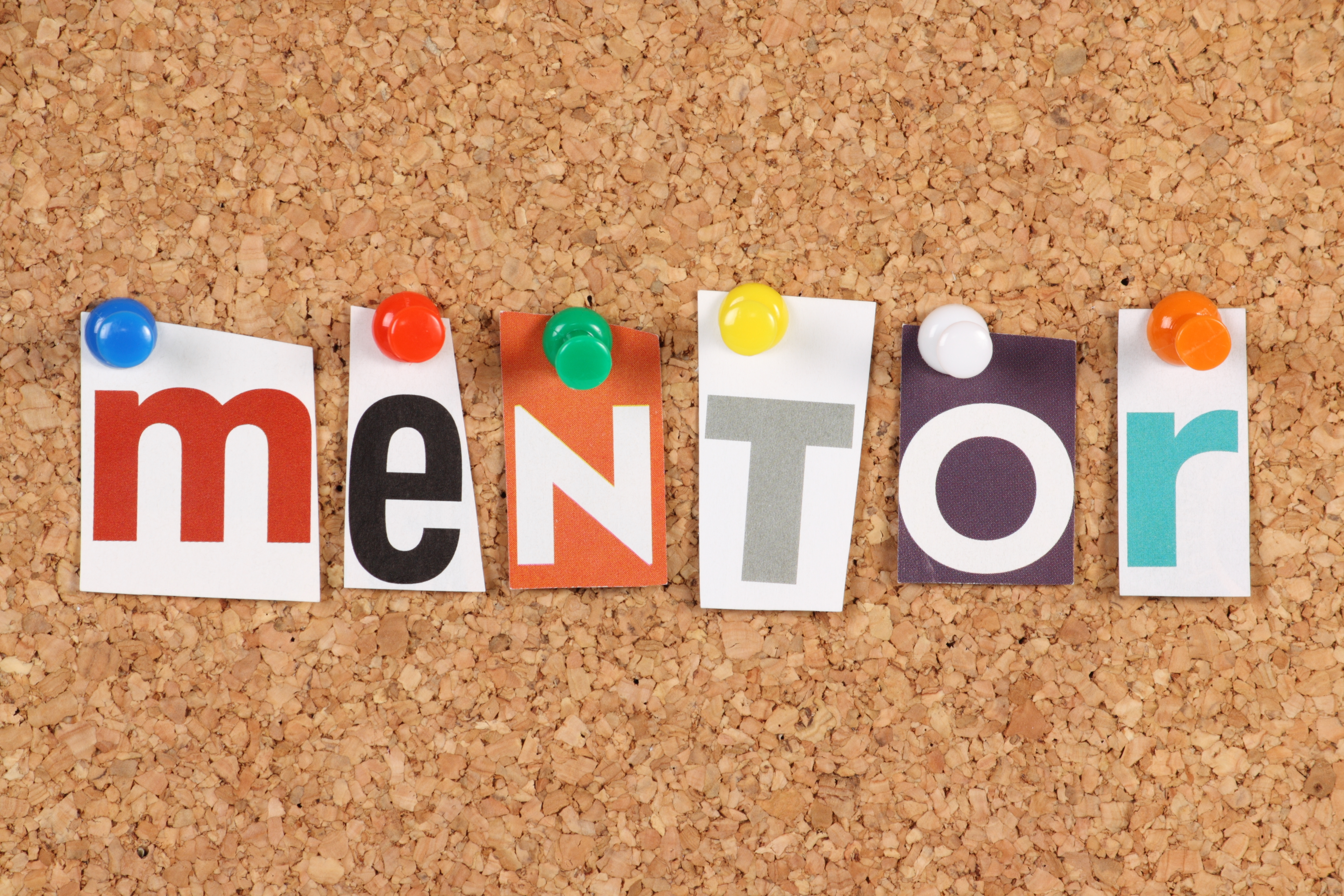 mentorstvo