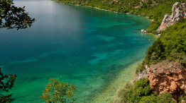 galicica