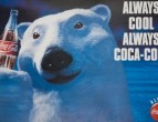 prikaznata za polarnite mecki